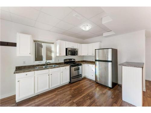 184 Briceland Street, Kingston, ON - Indoor Photo Showing Kitchen With Double Sink