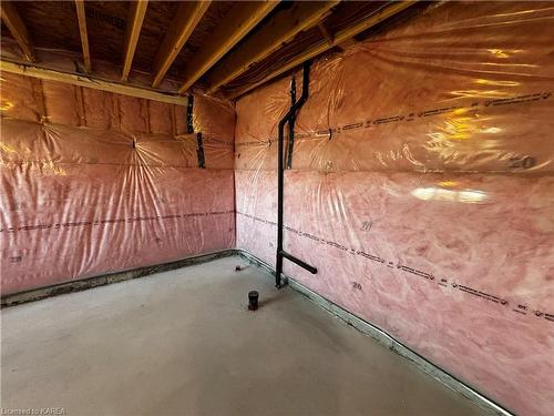 46 Oakmont Drive, Bath, ON - Indoor Photo Showing Basement