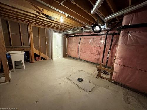 46 Oakmont Drive, Bath, ON - Indoor Photo Showing Basement