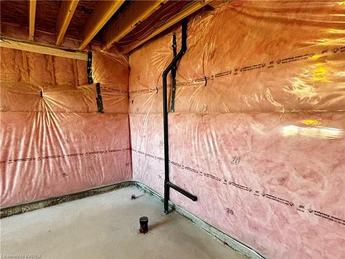 46 Oakmont Drive, Bath, ON - Indoor Photo Showing Basement