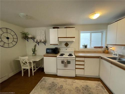 223 Guthrie Drive, Kingston, ON - Indoor Photo Showing Kitchen With Double Sink