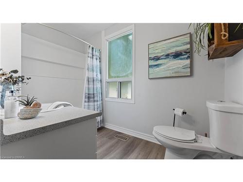 1013 Windham Centre Road, Windham Centre, ON - Indoor Photo Showing Bathroom