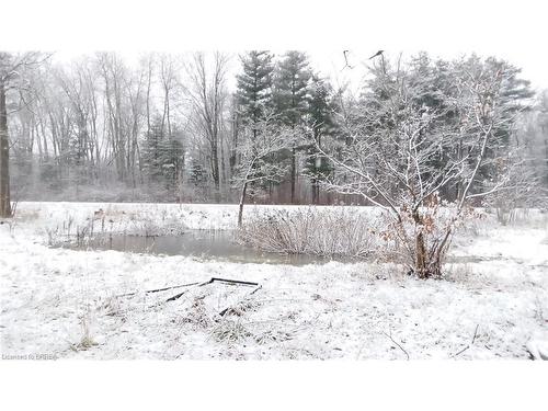 26 Indian Line Road, Mount Pleasant, ON - Outdoor With View
