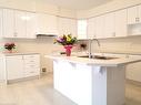 94 Stauffer Road, Brantford, ON  - Indoor Photo Showing Kitchen With Double Sink 