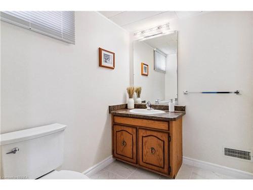 203 Memorial Drive, Brantford, ON - Indoor Photo Showing Bathroom
