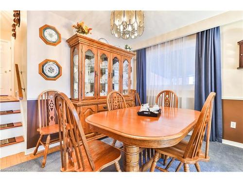 48 Abbington Drive, Hamilton, ON - Indoor Photo Showing Dining Room