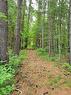 1-1251 Lake Dore Road, Golden Lake, ON 