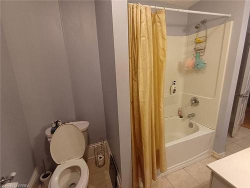 300 Dalhousie Street, Brantford, ON - Indoor Photo Showing Bathroom