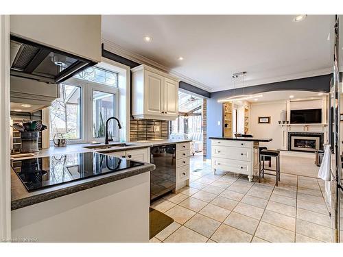 16 Camrose Drive, Brantford, ON - Indoor Photo Showing Kitchen With Upgraded Kitchen