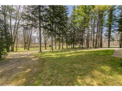 87 12Th Concession Road, Harley, ON - Outdoor With View