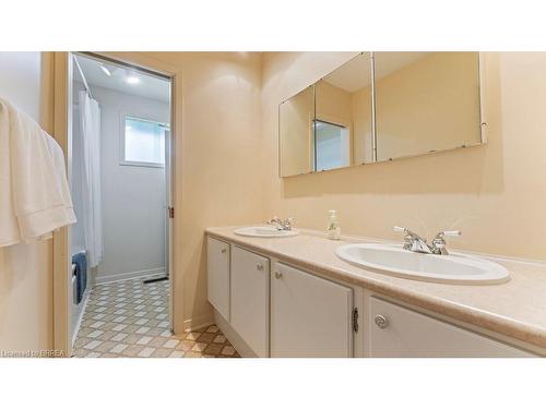 21 Brier Place, Brantford, ON - Indoor Photo Showing Bathroom