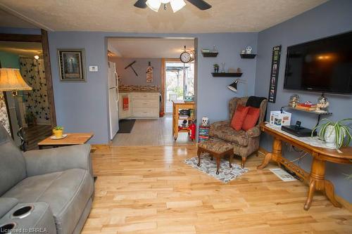 223 Windham Street, Simcoe, ON - Indoor Photo Showing Living Room