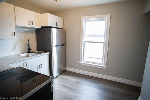 113 Eagle Avenue, Brantford, ON - Indoor Photo Showing Kitchen With Double Sink