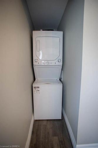 113 Eagle Avenue, Brantford, ON - Indoor Photo Showing Laundry Room