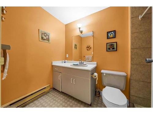 203-421 Fairview Drive, Brantford, ON - Indoor Photo Showing Bathroom