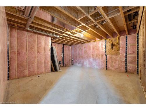 107 Judd Drive, Simcoe, ON - Indoor Photo Showing Basement