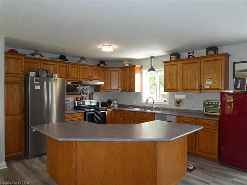 56 Cowan Street, Princeton, ON - Indoor Photo Showing Kitchen With Double Sink