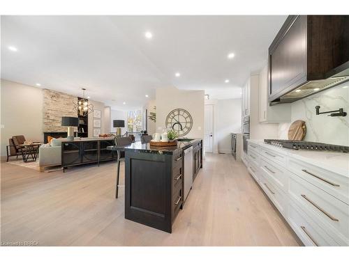 151 Parkside Drive, Brantford, ON - Indoor Photo Showing Kitchen With Upgraded Kitchen