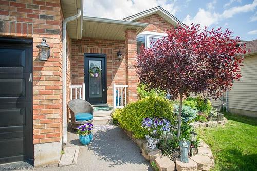 48 Mcguiness Drive, Brantford, ON - Outdoor