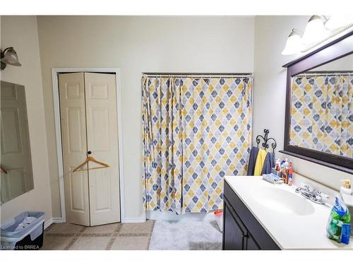 236 Darling Street, Brantford, ON - Indoor Photo Showing Bathroom