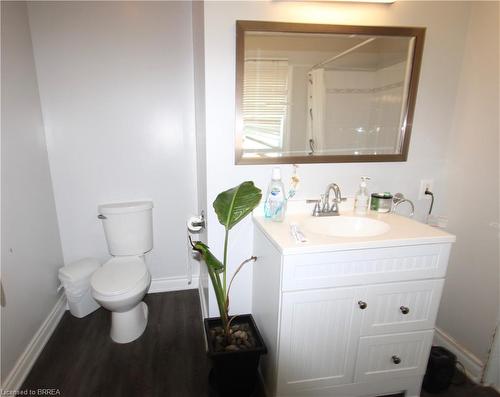 122 Chatham Street, Brantford, ON - Indoor Photo Showing Bathroom