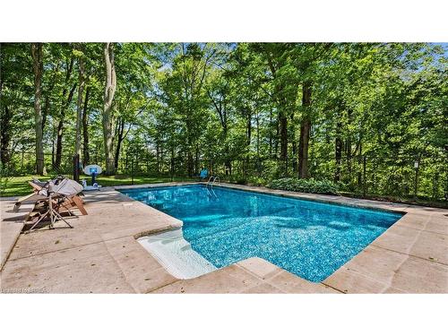 12 Campbell Farm Road, Brantford, ON - Outdoor With In Ground Pool With Backyard