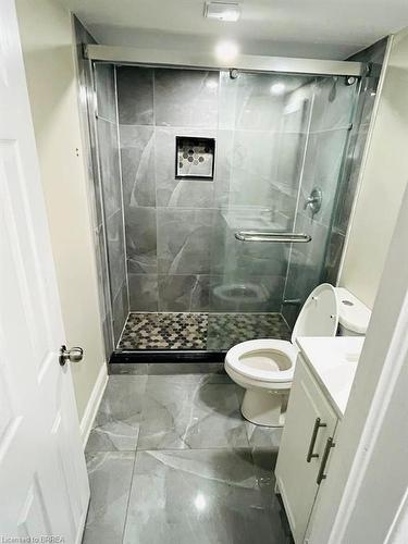 4 Turnbull Drive, Brantford, ON - Indoor Photo Showing Bathroom