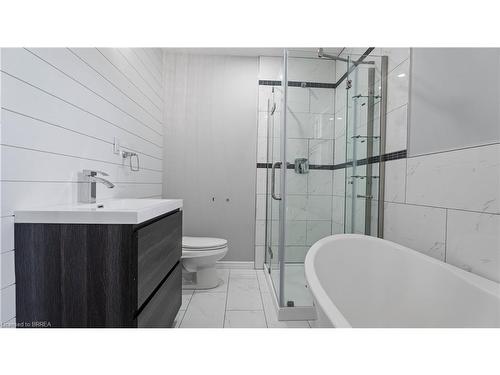 79 Brunswick Street, Brantford, ON - Indoor Photo Showing Bathroom