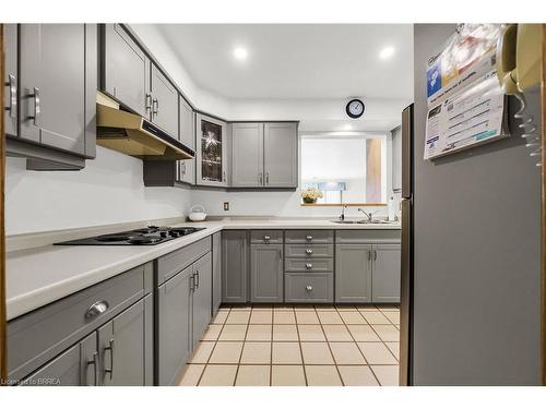 33 Marshall Street, Brantford, ON - Indoor Photo Showing Kitchen With Double Sink