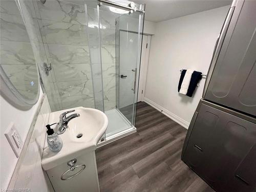 Lower-448 West Street, Brantford, ON - Indoor Photo Showing Bathroom