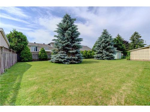 11 Lyndhurst Street, Brantford, ON 