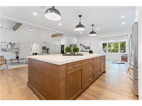 166 St George Street, Brantford, ON - Indoor Photo Showing Kitchen With Upgraded Kitchen