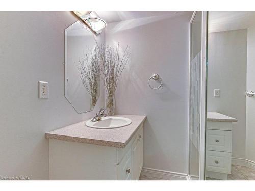 54 Franklin Street, Brantford, ON - Indoor Photo Showing Bathroom