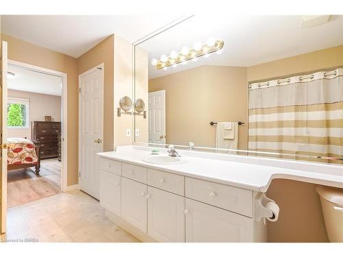 4-10 Courtland Drive, Brantford, ON - Indoor Photo Showing Bathroom