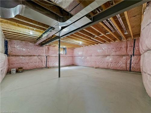 75 Grand River Street S, Paris, ON - Indoor Photo Showing Basement