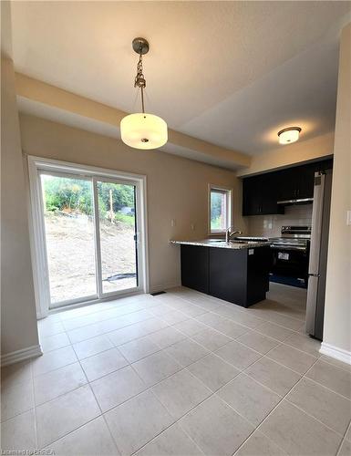 21-620 Colborne Street W, Brantford, ON - Indoor Photo Showing Kitchen