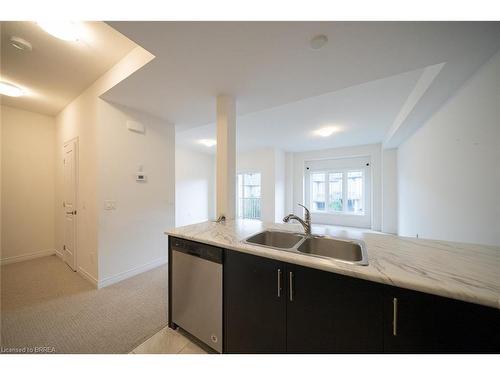 169-77 Diana Avenue, Brantford, ON - Indoor Photo Showing Kitchen With Double Sink