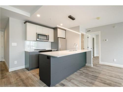 202-34 Norman Street, Brantford, ON - Indoor Photo Showing Kitchen With Upgraded Kitchen