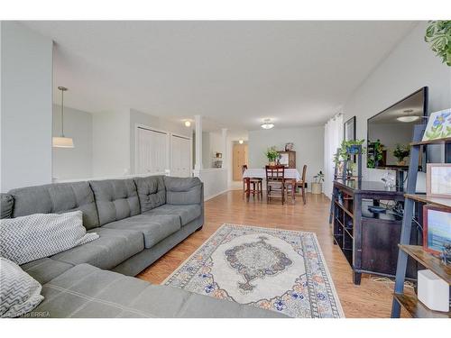 217 Balmoral Drive, Brantford, ON - Indoor Photo Showing Living Room