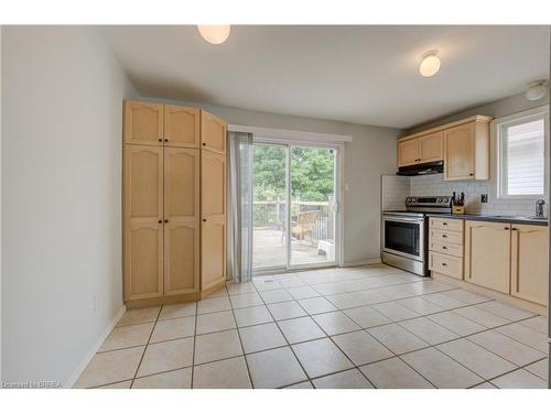 217 Balmoral Drive, Brantford, ON - Indoor Photo Showing Kitchen With Double Sink