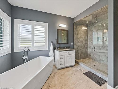 387 Robinson Road, Brantford, ON - Indoor Photo Showing Bathroom