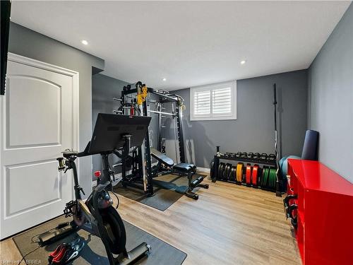 387 Robinson Road, Brantford, ON - Indoor Photo Showing Gym Room