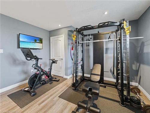 387 Robinson Road, Brantford, ON - Indoor Photo Showing Gym Room