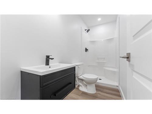 24B Balfour Street, Brantford, ON - Indoor Photo Showing Bathroom