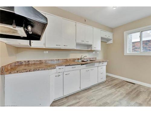 17 Park Road S, Brantford, ON - Indoor Photo Showing Kitchen With Double Sink