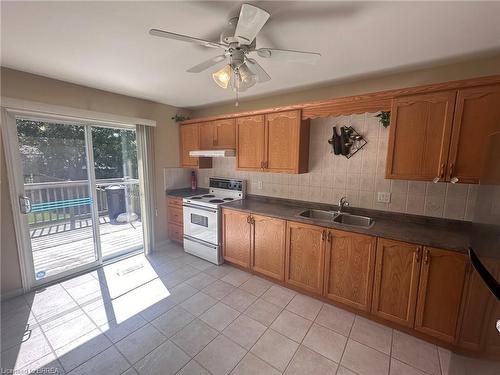 201 Grand Street, Brantford, ON - Indoor Photo Showing Kitchen With Double Sink