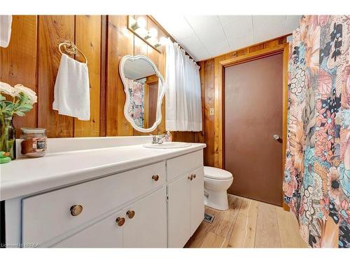 250 Radical Road, Simcoe, ON - Indoor Photo Showing Bathroom