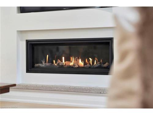 21 Franklin Street, Brantford, ON - Indoor Photo Showing Living Room With Fireplace