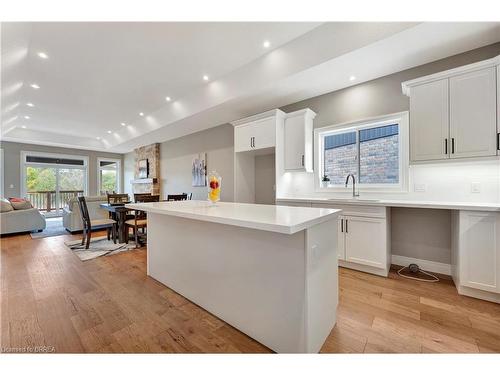 105 Craddock Boulevard, Jarvis, ON - Indoor Photo Showing Kitchen With Upgraded Kitchen