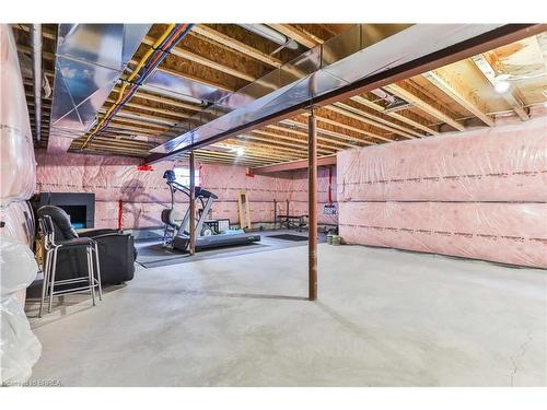 126 Blue Water Parkway, Selkirk, ON - Indoor Photo Showing Basement